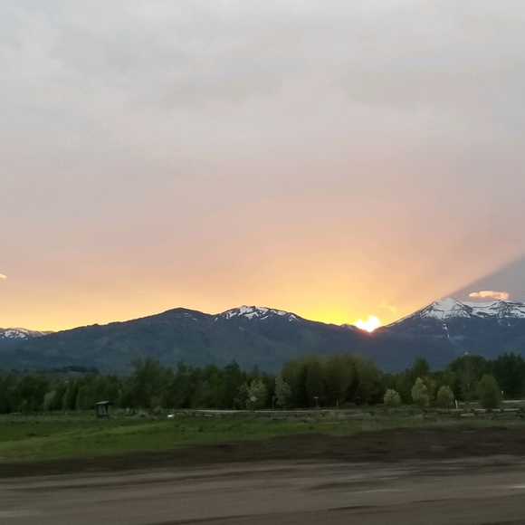 Meet your Posher, Ava - Picture 1 of 1